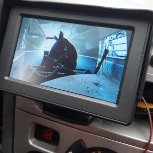 Paard in trailer