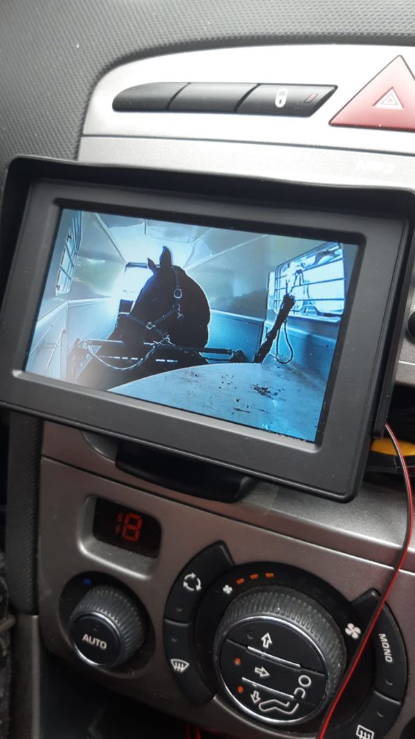 Paard in trailer